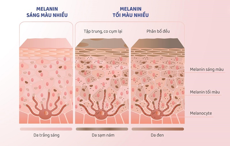 dầu dừa có làm trắng da không, dầu dừa có làm trắng da mặt không, dầu dừa làm trắng da mặt, làm sáng da bằng dầu dừa, dầu dừa dưỡng da ban đêm, làm trắng da mặt bằng dầu dừa, dùng dầu dừa tẩy trang hàng ngày có tốt không, thoa dầu dừa lên mặt mỗi ngày có tốt không, cách dưỡng trắng da mặt bằng dầu dừa, làm trắng da bằng dầu dừa, dưỡng trắng da mặt bằng dầu dừa, cách làm trắng da bằng dầu dừa, dùng dầu dừa tẩy trang mắt có tốt không, dầu dừa tẩy trang có tốt không, thoa dầu dừa lên mặt, làm đẹp từ dầu dừa, dầu dừa tẩy trang được không, dầu dừa dưỡng da, dầu dừa có tẩy trang được không, tẩy trang bằng dầu dừa có tốt không, làm đẹp bằng dầu dừa, dưỡng da bằng dầu dừa, có nên dùng dầu dừa cho da mặt, bôi dầu dừa lên mặt qua đêm có tốt không, bôi dầu dừa lên mặt hàng ngày có tốt không, cách làm trắng da bằng dầu dừa và mật ong, dầu dừa dưỡng da mặt được không, làm đẹp với dầu dừa, dầu dừa làm đẹp da, làm đẹp da mặt từ dầu dừa, cách uống dầu dừa đẹp da, cách làm trắng da tay bằng dầu dừa, dầu dừa làm đẹp