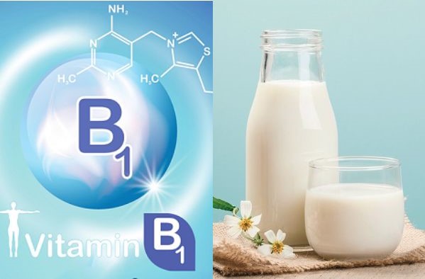 Vitamin B1 kết hợp với sữa chua không đường